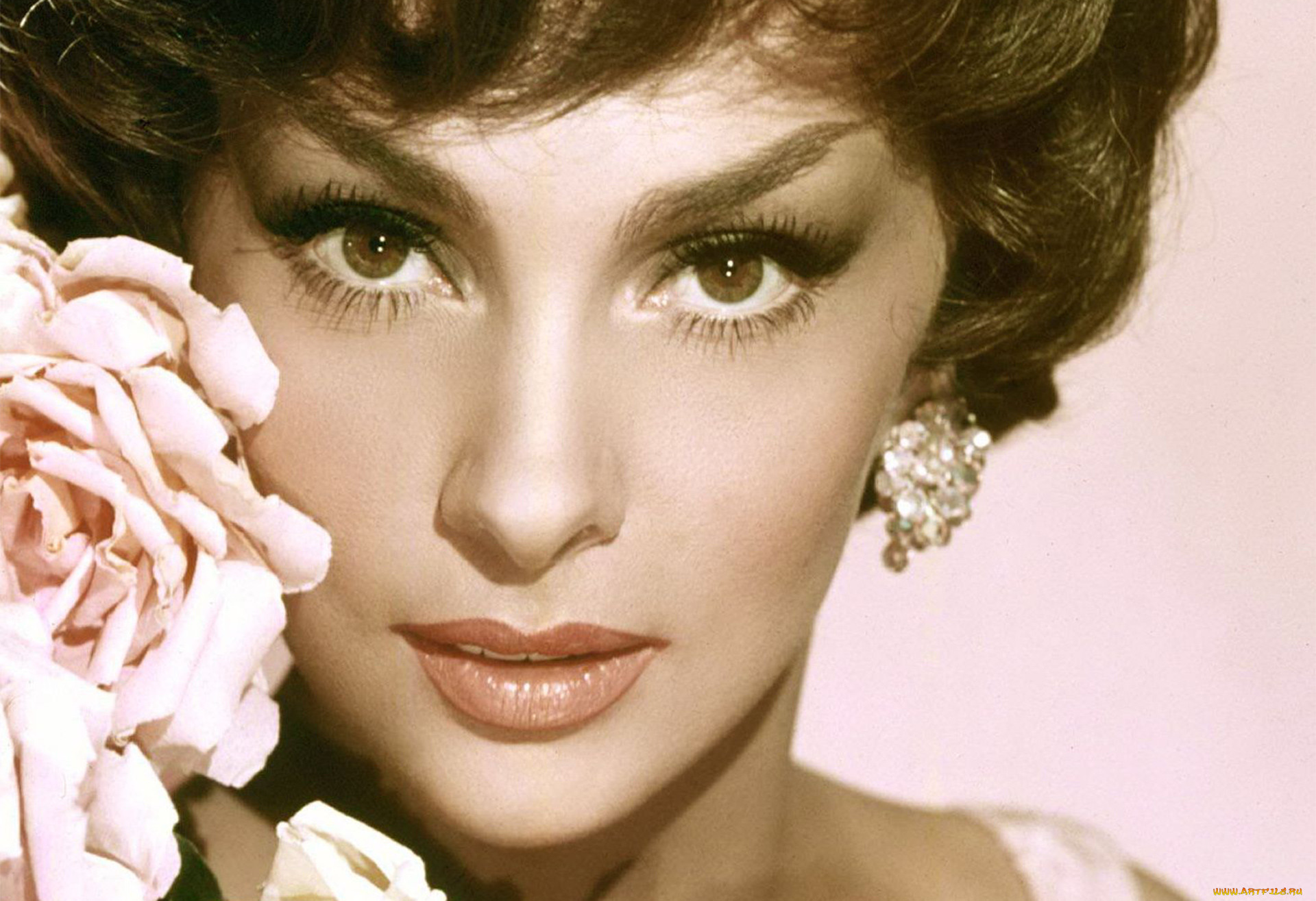 gina lollobrigida, , gina, lollobrigida, , , , , , , , , 